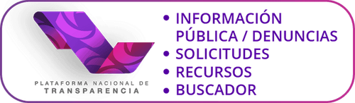 Plataforma Nacional de Transparencia